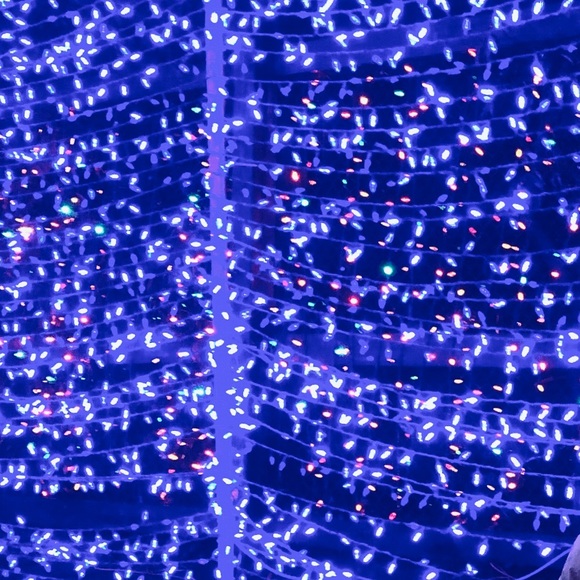 Meet your Posher, Tehya - Picture 1 of 1